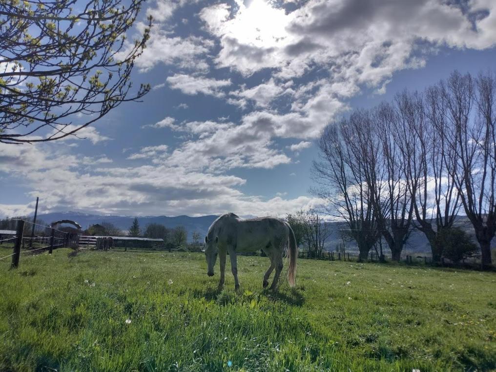 Ca L'Andreu Villa Ventola Dış mekan fotoğraf