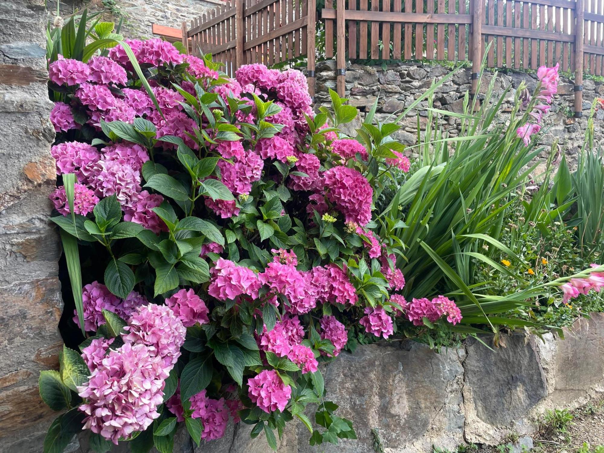 Ca L'Andreu Villa Ventola Dış mekan fotoğraf