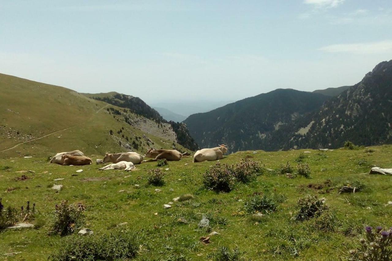 Ca L'Andreu Villa Ventola Dış mekan fotoğraf