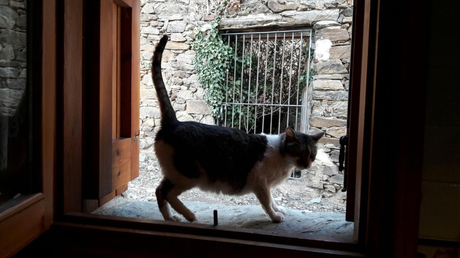 Ca L'Andreu Villa Ventola Dış mekan fotoğraf